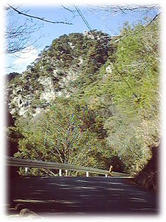 山