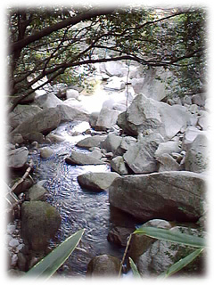 渓流